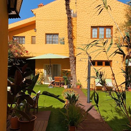 Villa Strelitzia Gran Canaria インヘニオ エクステリア 写真