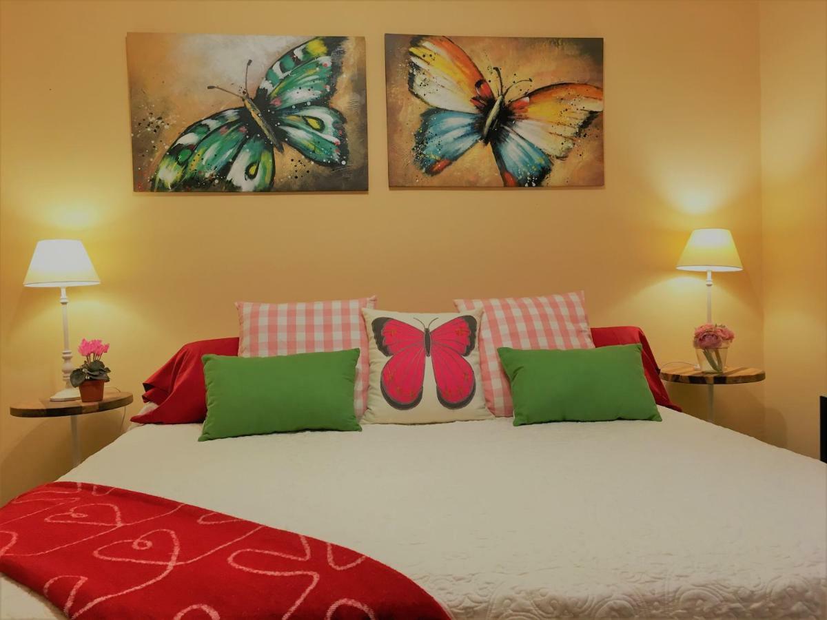 Villa Strelitzia Gran Canaria インヘニオ エクステリア 写真